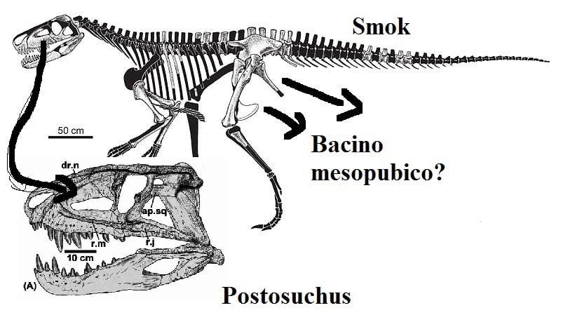 il misterioso Drago di Lisowice